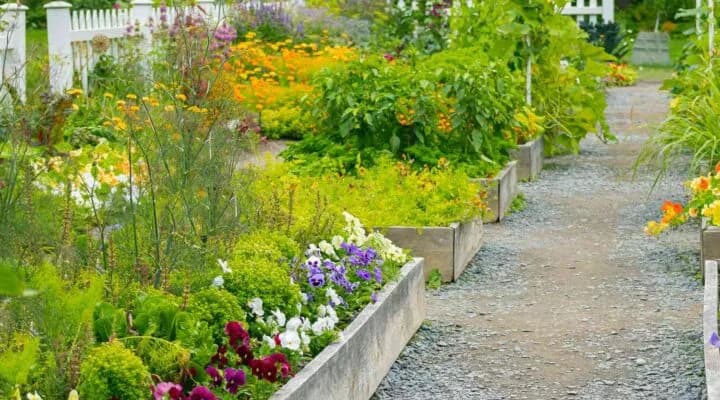 Tuinonderhoud maart