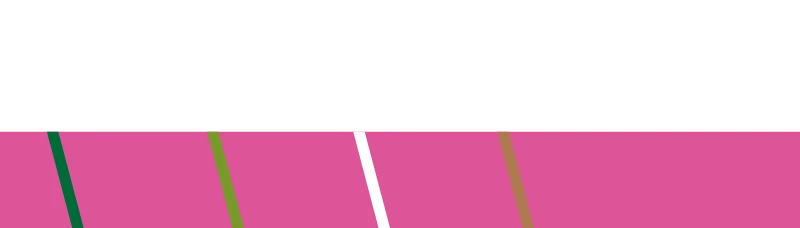 De vrouwen van DIM