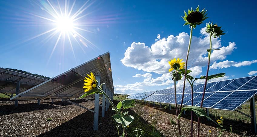 Zonnepanelen energieopwekking